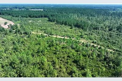 Tbd Alamac (Off Of) Road, Lumberton, NC 28358 - Photo 3
