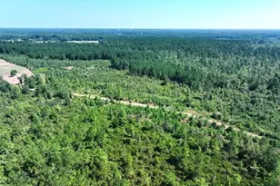 Tbd Alamac (Off Of) Rd, Lumberton, NC 28358 - Photo 3