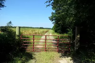 Tbd Alamac (Off Of) Rd, Lumberton, NC 28358 - Photo 9