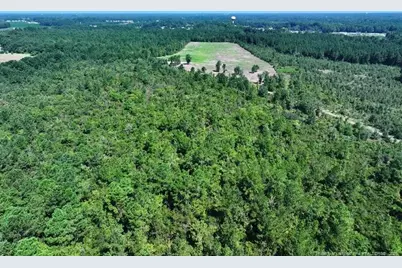 Tbd Alamac (Off Of) Road, Lumberton, NC 28358 - Photo 5
