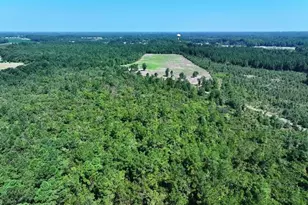 Tbd Alamac (Off Of) Rd, Lumberton, NC 28358 - Photo 5