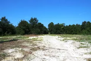 Tbd Alamac (Off Of) Rd, Lumberton, NC 28358 - Photo 11