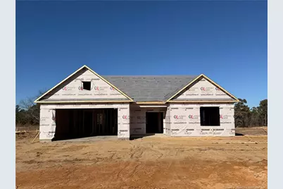 313 Crowville Street, Raeford, NC 28376 - Photo 1