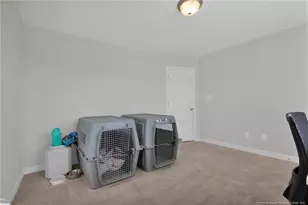 248 Rainy Beck Wy, Erwin, NC 28339 - Photo 29