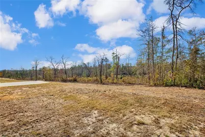 2149 Purebred Circle, Hope Mills, NC 28348 - Photo 39