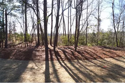 899 Ponderosa Trail, Cameron, NC 28326 - Photo 47