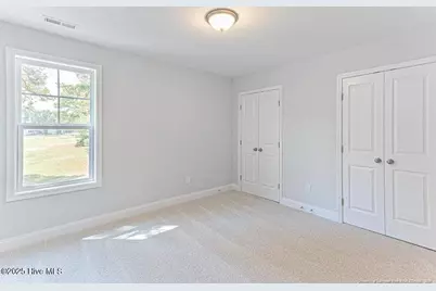 3 Vineyard Place, Jackson Springs, NC 27281 - Photo 33