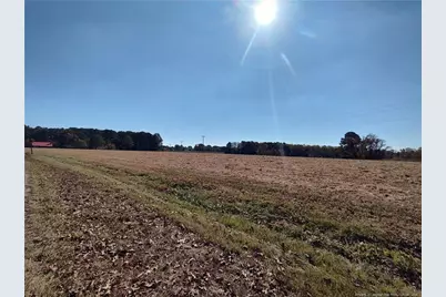 0 Castleberry Road, Sanford, NC 27332 - Photo 3