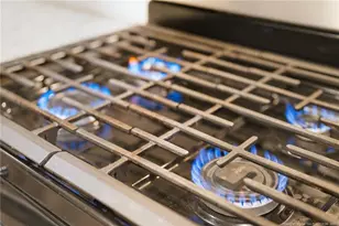 245 Ribbon Rail St, Fuquay-Varina, NC 27526 - Photo 21