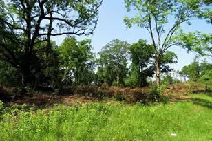 Tbd Nc Hwy 71 Hwy, Red Springs, NC 28377 - Photo 15