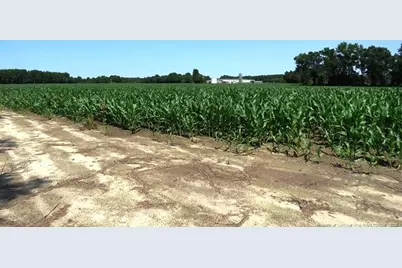 Tbd Nc Hwy 71 Highway, Red Springs, NC 28377 - Photo 9