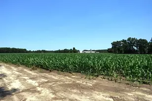 Tbd Nc Hwy 71 Hwy, Red Springs, NC 28377 - Photo 9