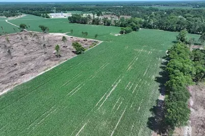 Tbd Nc Hwy 71 Highway, Red Springs, NC 28377 - Photo 3