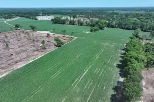 Tbd Nc Hwy 71 Hwy, Red Springs, NC 28377 - Photo 3