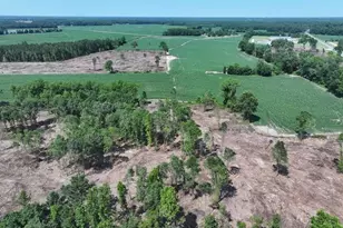 Tbd Nc Hwy 71 Hwy, Red Springs, NC 28377 - Photo 5