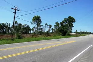 Tbd Nc Hwy 71 Hwy, Red Springs, NC 28377 - Photo 11