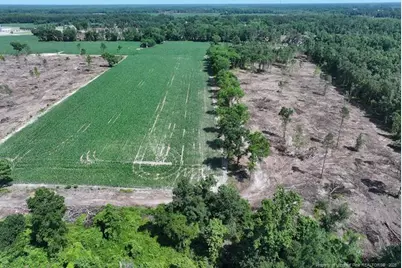 Tbd Nc Hwy 71 Highway, Red Springs, NC 28377 - Photo 1