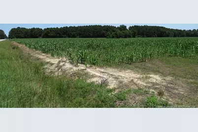 Tbd Nc Hwy 71 Highway, Red Springs, NC 28377 - Photo 7