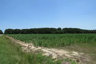 Tbd Nc Hwy 71 Hwy, Red Springs, NC 28377 - Photo 7