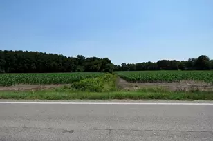 Tbd Nc Hwy 71 Hwy, Red Springs, NC 28377 - Photo 11