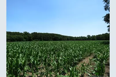 Tbd Nc Hwy 71 Highway, Red Springs, NC 28377 - Photo 5