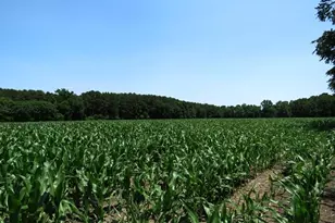 Tbd Nc Hwy 71 Hwy, Red Springs, NC 28377 - Photo 5