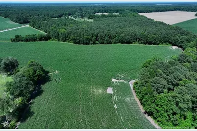 Tbd Nc Hwy 71 Highway, Red Springs, NC 28377 - Photo 3