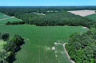 Tbd Nc Hwy 71 Hwy, Red Springs, NC 28377 - Photo 3