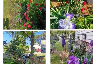 3824 Clearwater Dr, Fayetteville, NC 28311 - Photo 15