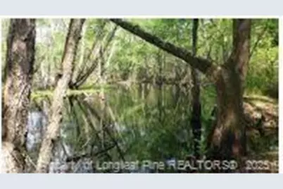 52 Acres, River Front Property Land, Lumberton, NC 28360 - Photo 9