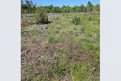 52 Acres, River Front Property Land, Lumberton, NC 28360 - Photo 15