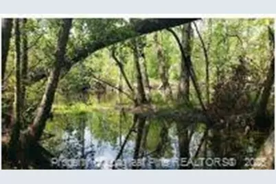 52 Acres, River Front Property Land, Lumberton, NC 28360 - Photo 11