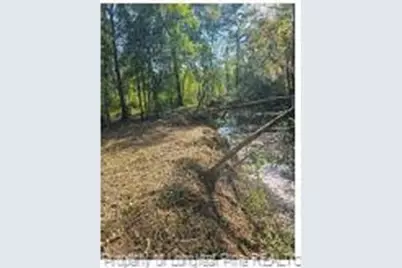 52 Acres, River Front Property Land, Lumberton, NC 28360 - Photo 19