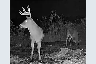 52 Acres, River Front Property Land, Lumberton, NC 28360 - Photo 21