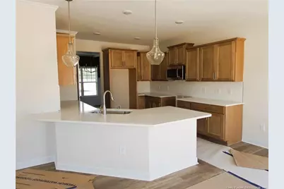 4729 Scenic Pines Drive #(Lot 241, Hope Mills, NC 28348 - Photo 9