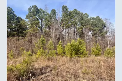 0 Tramway Road, Sanford, NC 27330 - Photo 3