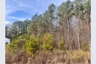 0 Tramway Road, Sanford, NC 27330 - Photo 5