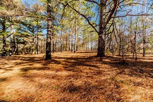 62 Scooter Ln, Cameron, NC 28326 - Photo 33