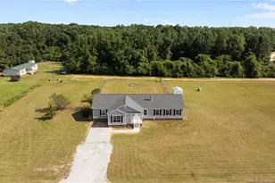 189 Little Coharie Ln, Roseboro, NC 28382 - Photo 33