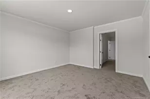 189 Little Coharie Ln, Roseboro, NC 28382 - Photo 13