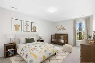 171 Traveller Way, Raeford, NC 28376 - Photo 31