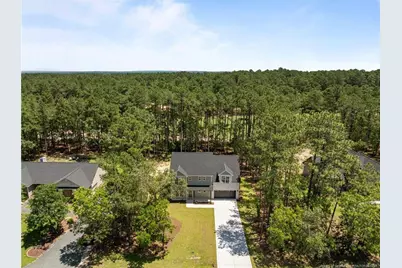 15881 Wildlife Lane, Wagram, NC 28396 - Photo 7