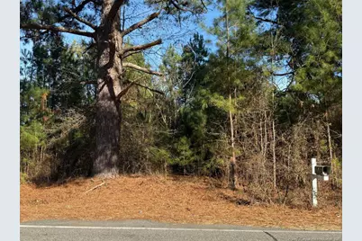 3237 Old Stage Road S, Erwin, NC 28339 - Photo 1