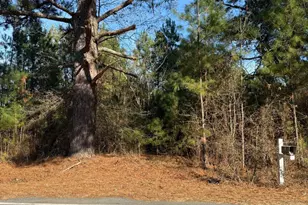 3237 Old Stage Rd S, Erwin, NC 28339 - Photo 1