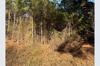 3237 Old Stage Road S, Erwin, NC 28339 - Photo 3