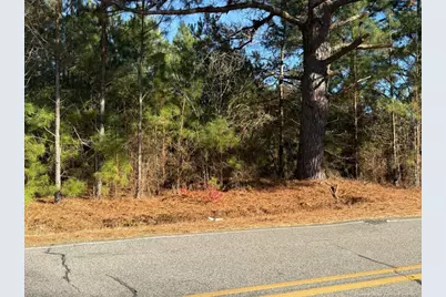 3237 Old Stage Road S, Erwin, NC 28339 - Photo 5