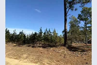 Tbd Plantation Road, Laurinburg, NC 28352 - Photo 9