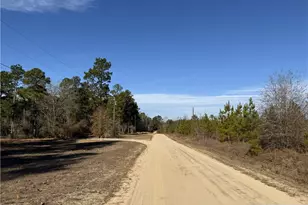 Tbd Plantation Rd, Laurinburg, NC 28352 - Photo 1