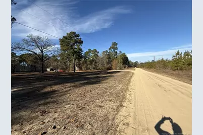 Tbd Plantation Road, Laurinburg, NC 28352 - Photo 5