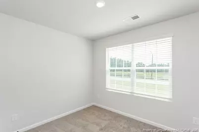 29 Laforce Lane, Broadway, NC 27505 - Photo 9